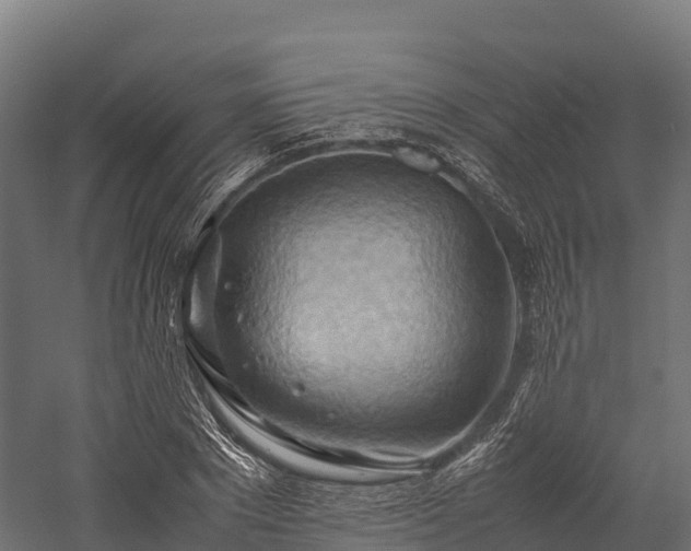 X0000057580881200509231249