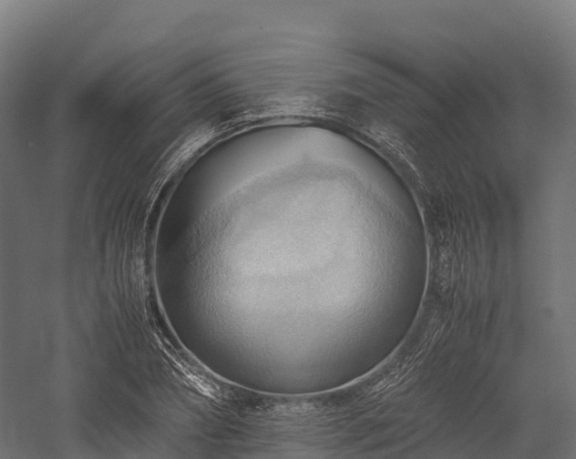 X0000057580882200509231249