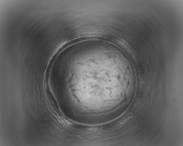 X0000057580883200509231249