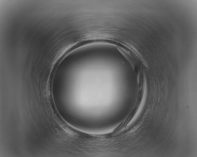 X0000057580885200509231249