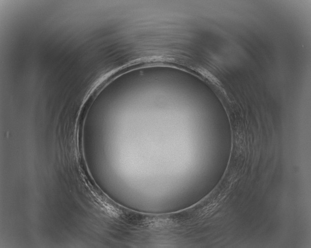 X0000057580886200509231249