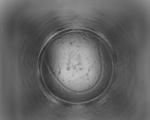 X0000057580887200509231249