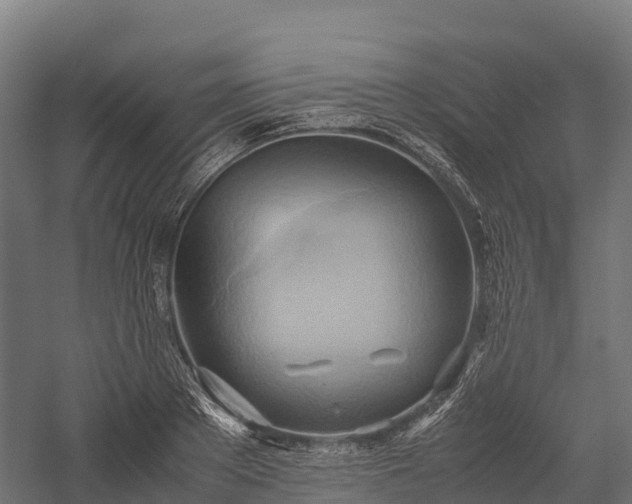 X0000057580889200509231249