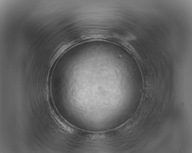 X0000057580890200509231249