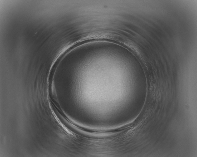 X0000057580894200509231249