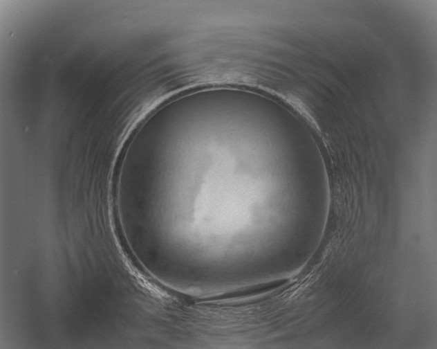 X0000057580895200509231248