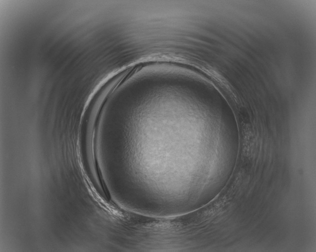 X0000057580896200509231248