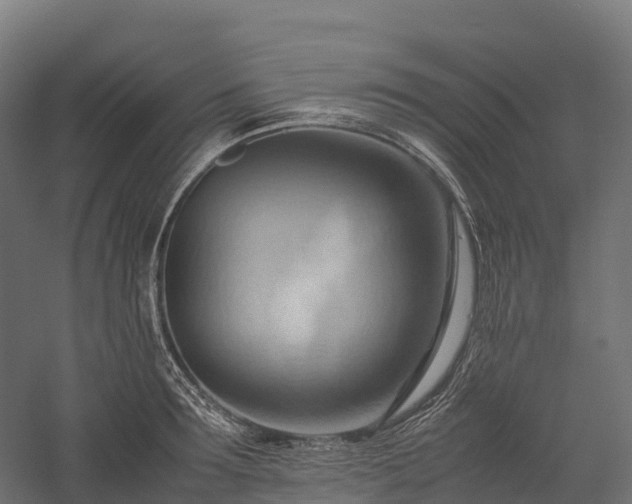 X0000057580899200509231248