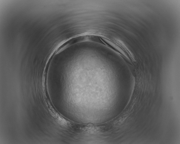 X0000057580900200509231248