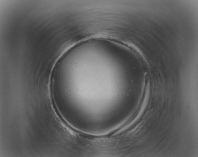 X0000057580902200509231248