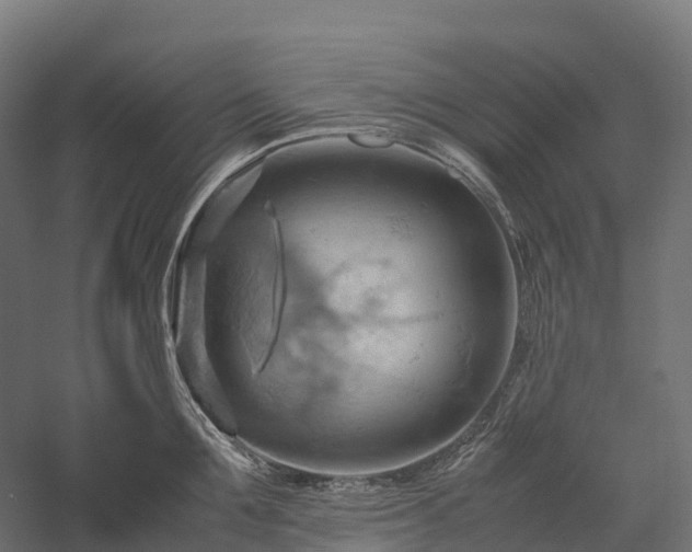 X0000057580907200509231248