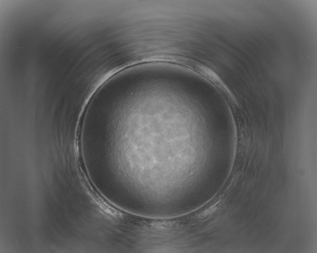 X0000057580908200509231248