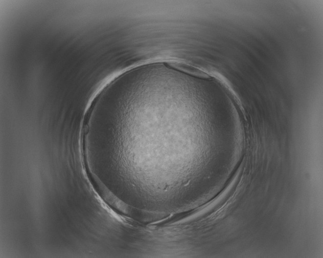 X0000057580910200509231248