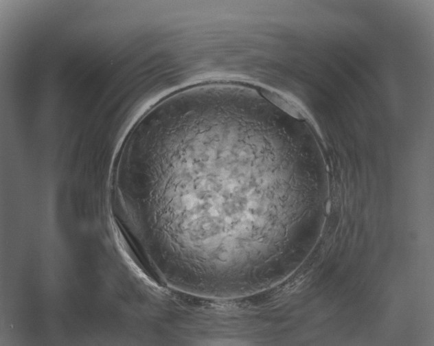 X0000057580911200509231248