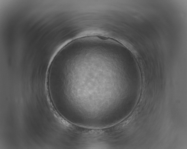 X0000057580912200509231248