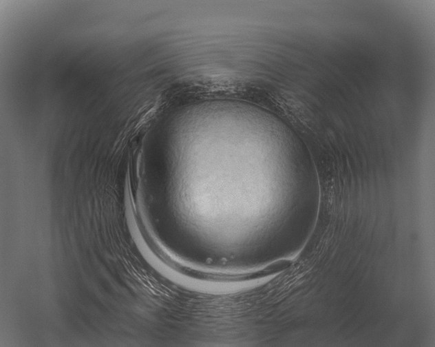 X0000057580916200509231247