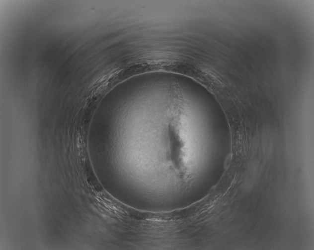 X0000057580917200509231247