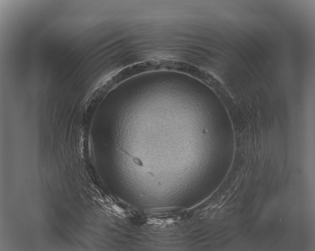 X0000057580919200509231247