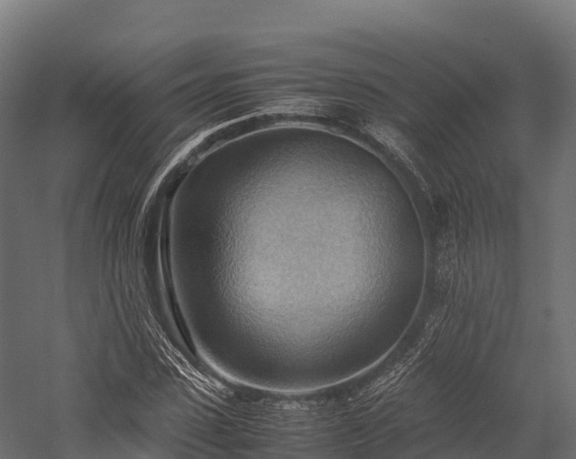 X0000057580923200509231248