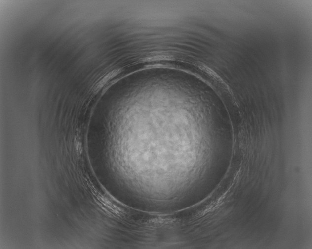 X0000057580929200509231248