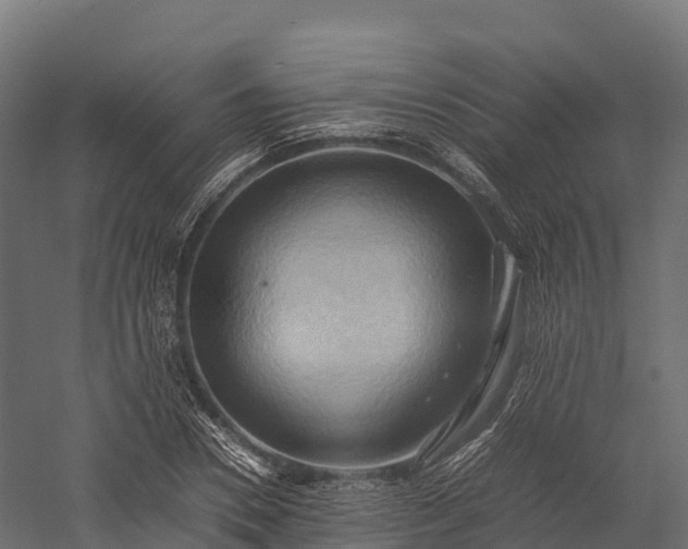 X0000057580930200509231248