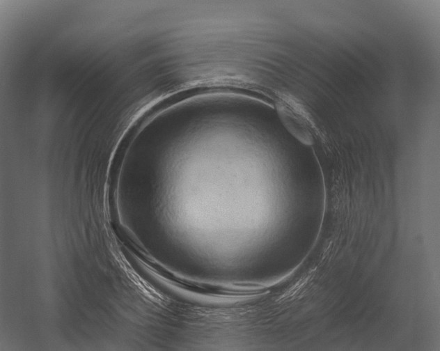 X0000057580932200509231248