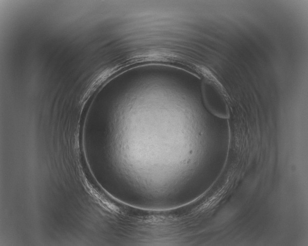 X0000057580938200509231248