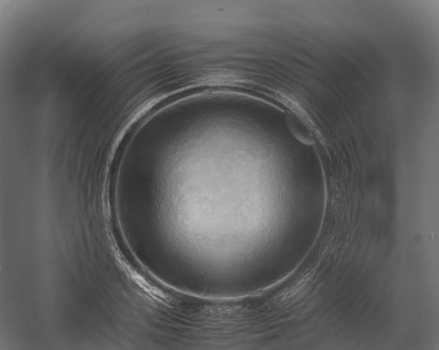 X0000057580939200509231248