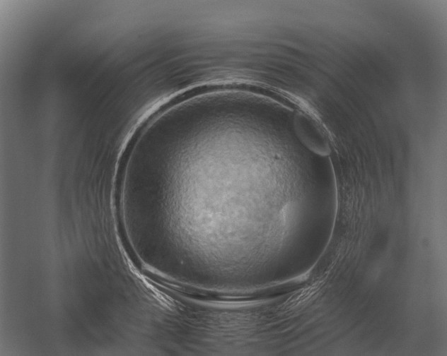 X0000057580943200509231248