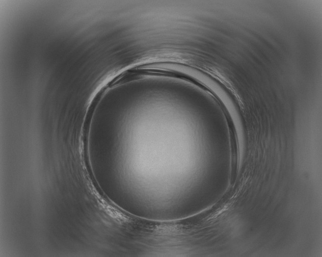 X0000057580944200509231248