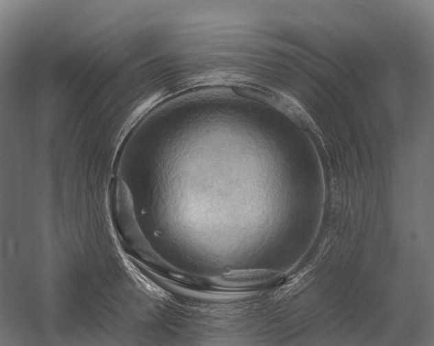 X0000057580946200509231248