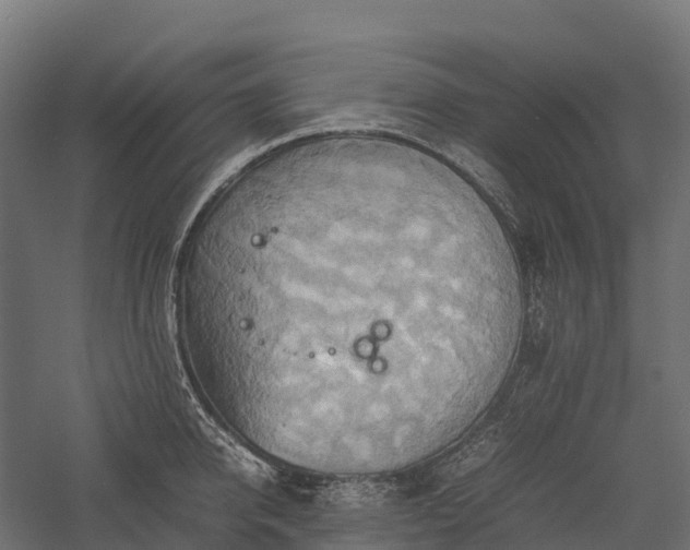 X0000057580950200509231248