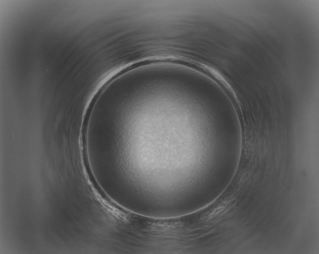 X0000057580951200509231248