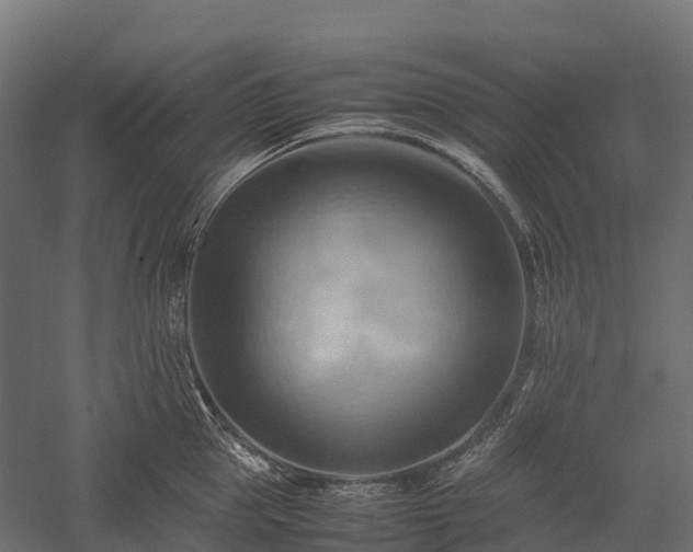 X0000057580953200509231248