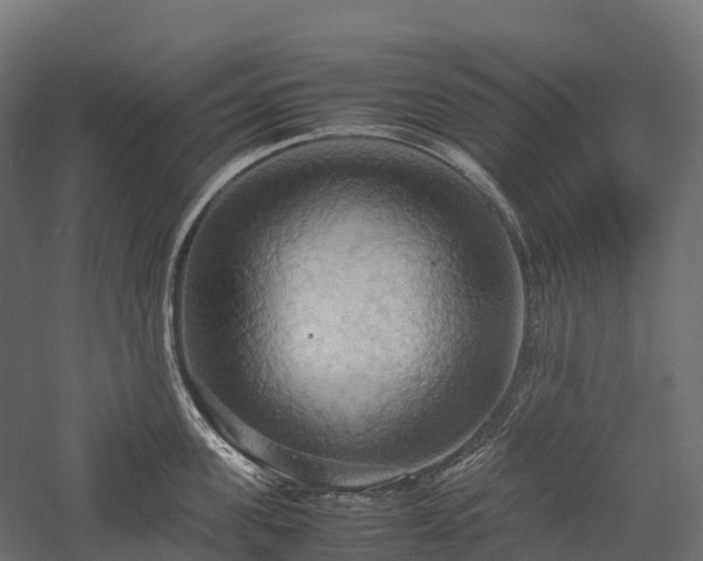 X0000057580955200509231248