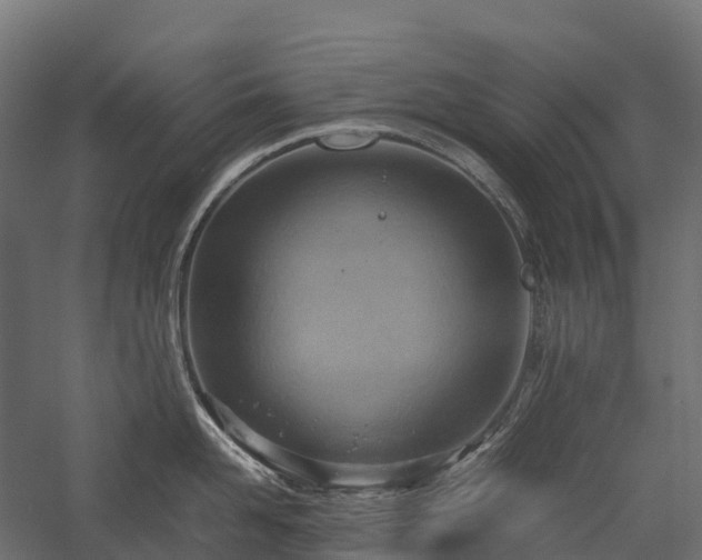 X0000057580958200509231248