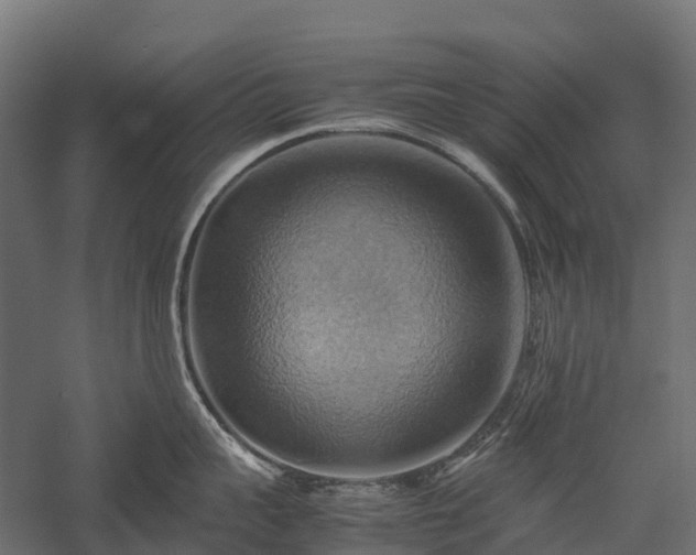 X0000057580959200509231248