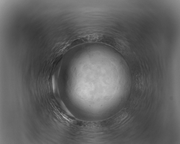 X0000057580962200509231247