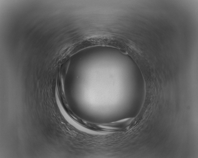 X0000057580965200509231247