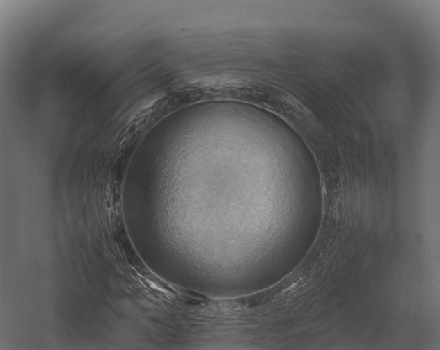 X0000057580966200509231247