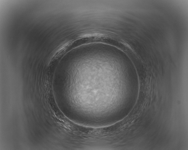 X0000057580967200509231247