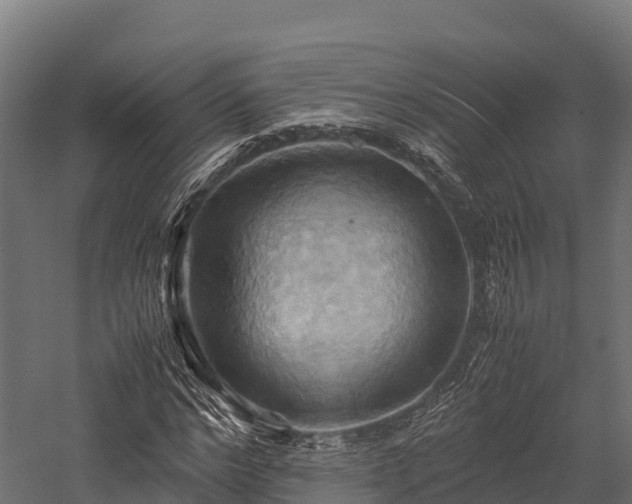 X0000057580968200509231247