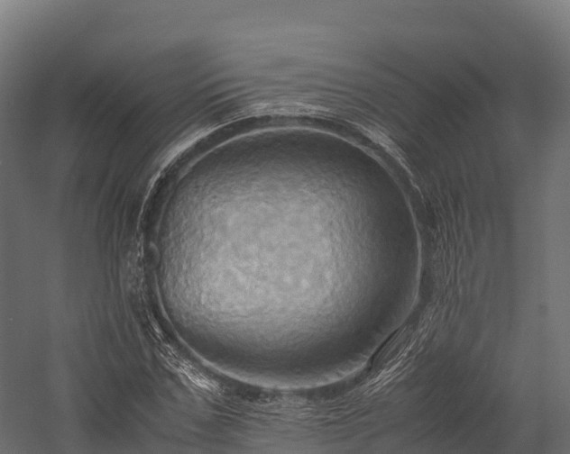 X0000057580971200509231247