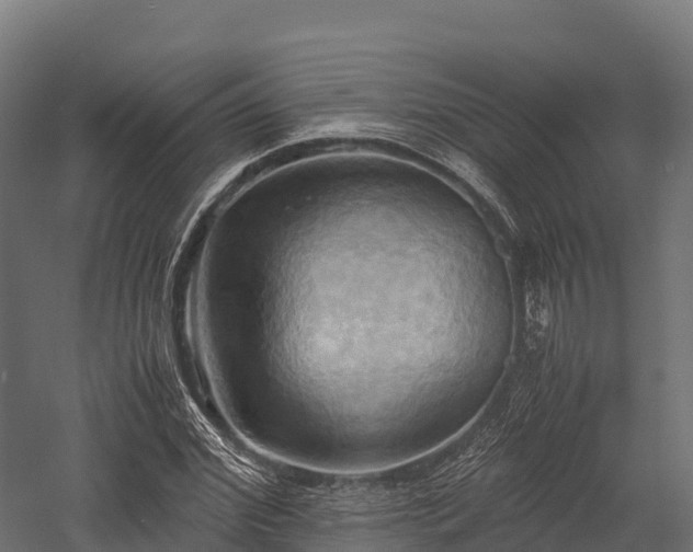 X0000057580972200509231247