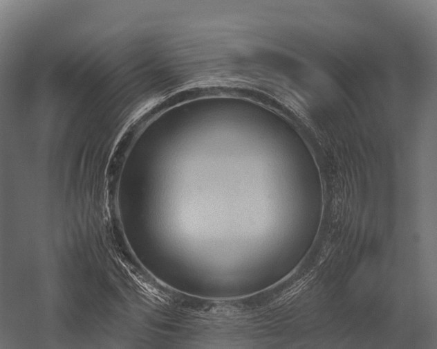 X0000057580974200509231247