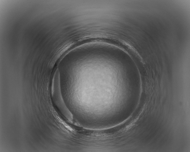 X0000057580977200509231247