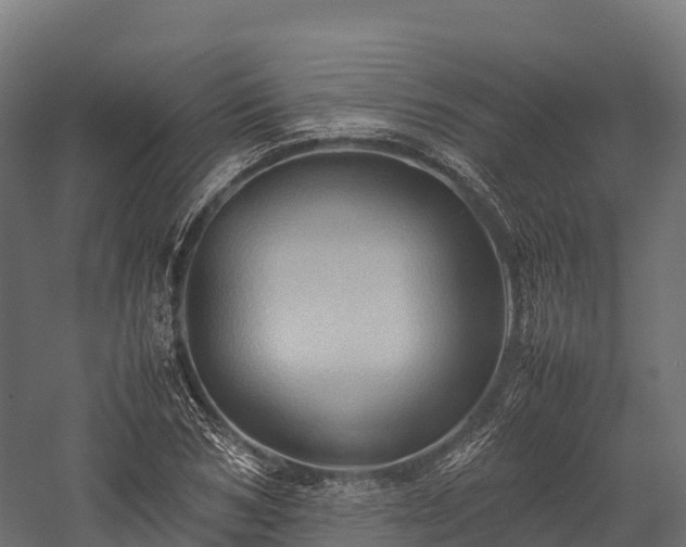 X0000057580978200509231247