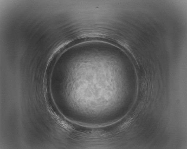 X0000057580979200509231247