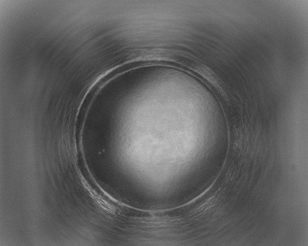 X0000057580980200509231247