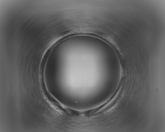 X0000057580981200509231247